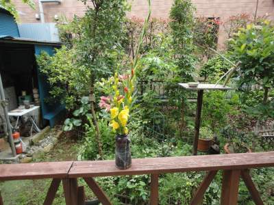 �ẲԁE���肪�Ƃ�