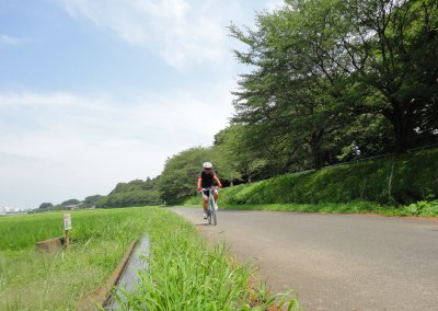 �����E�T�C�N�����O