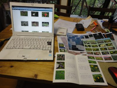 �ċx�݂̏h��