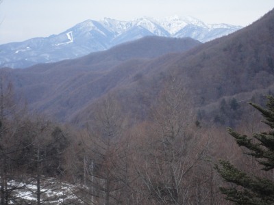 �Еi���̗[���