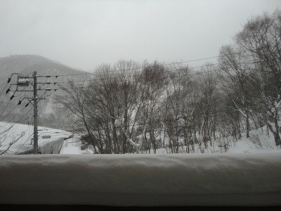 �u�ꍂ���̐�