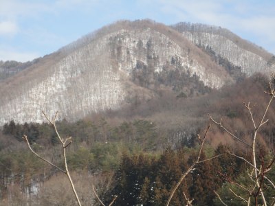 �����t�̓���