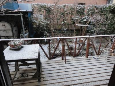 �A���Ă��Ă���H