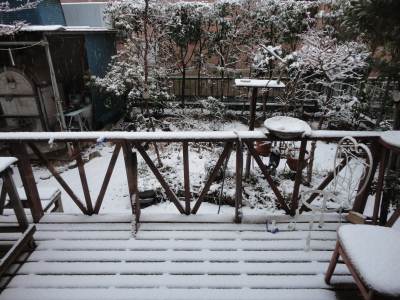 �����̐�