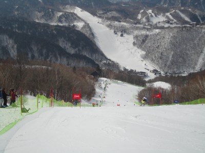 �}�X�^�[�Y���