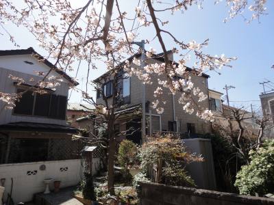 �^�_�����猩���Ă��ā`