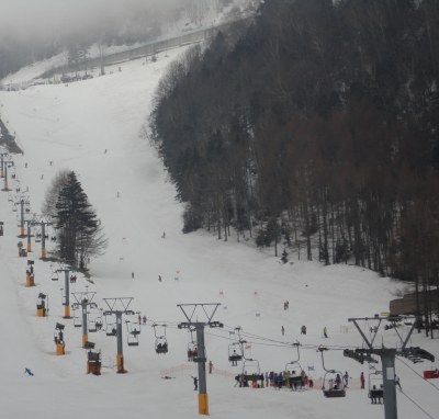 �ۏ��t���