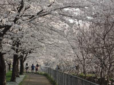 �����p�������̍�