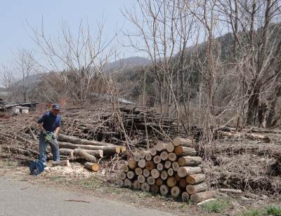 �ɂ��ۂ�̗ыƂ̈�[��S��