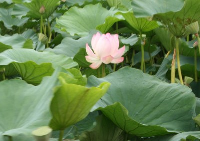 ���N���炩��