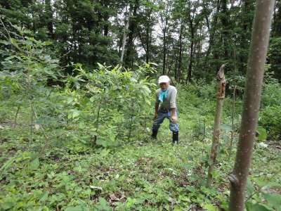 �c�؂������傫���Ȃ��āE�E