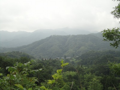 �܂�E�x�m�R����P��