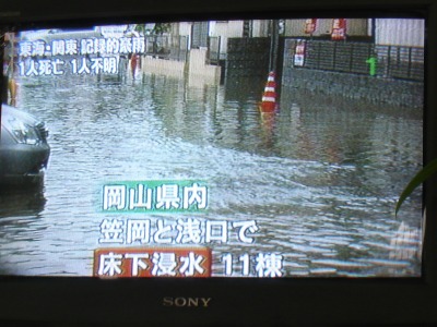 ���Q�̂���Ƃ���