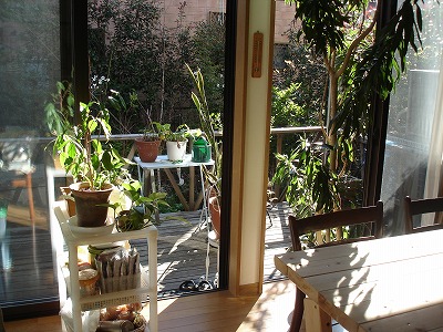 �z�˂��������X���܂��� 