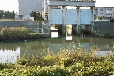 �n��̒��h�K�[�`�����h 