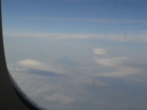  �x�m�R���I���{�ɋA����