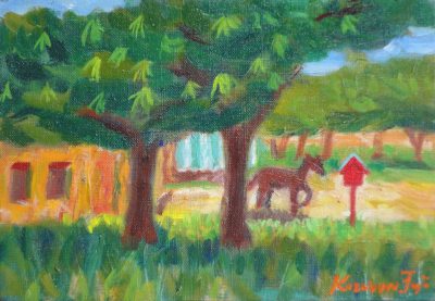 �I�̉ԍ炭�n��