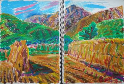 �H�����n��