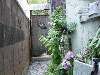 �|���q�͂�����ł�