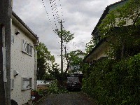 �c��͂��ƈ�{�̎}