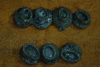 �O�l��������̂͂���̕�