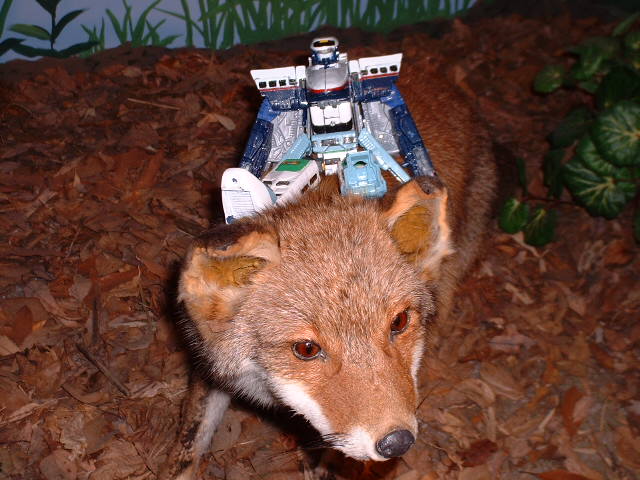 �`�m�w�i�����j