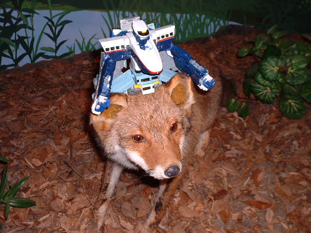 �`�m�w�i�����j