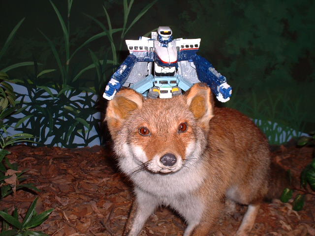 �`�m�w�i�����j