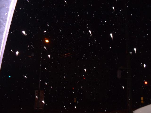 �ꉞ�A�~��