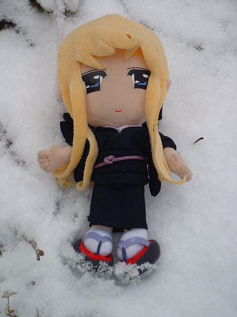 �q�ؗR���q