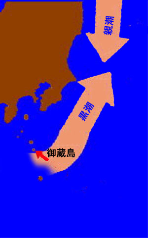 �����̗���@�iJapan�@current)�ƃC���J�̉�V�B�����̗���͈ɓ������ɂԂ��藐���𔭐������A�~�l��������������܂񂾊C�����䑠�����ӂɕ��������点�Ă��܂��B