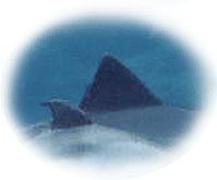 �C���J�ِ͑��ł��̂ŁA���܂��܂ł͕�e�̂����̒��ɋ��܂��B�����̒��ł͔w�т��܂肽����ł��܂��̂Ő��܂ꂽ�΂���̃C���J�͂��̂悤�ɔw�тꂪ�Ȃ����Ă���̂ł��B