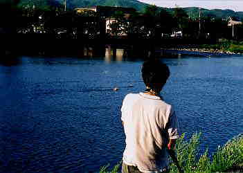 ���ڂꂽ�珕����Ȃ����I�����̂��H