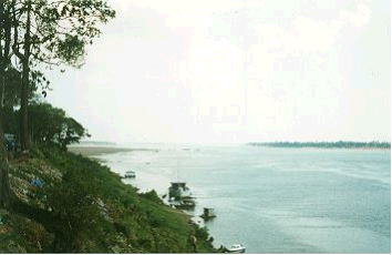 �v�m���y���s���{�[�g�͒��V�����A���v�S�`�V����