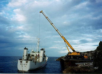 �Ԃ��R���e�i���l���݂�ȃN���[���ŏ㗤