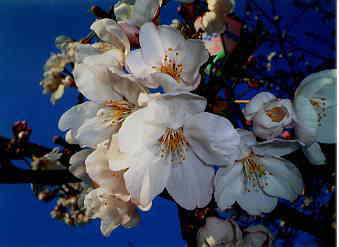 �Ԃ��Ȃ�Ƃ��B�B�B�Ƃ͂������܂����i�΁j