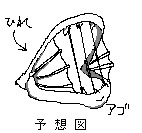 テキトウすぎ。