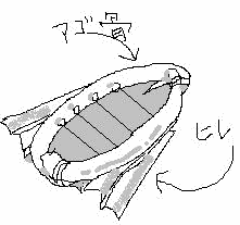 さらに現代の形に近く。