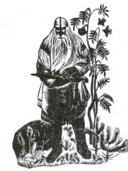 �h���C�i�~���C�l���ƃJ���e���h