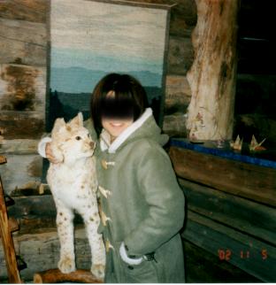 �����A�������l�̂悤���B