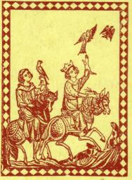 �^�J���̌��i