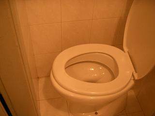 �Z�}�C���B���̗���͂������ǃZ�}�C���B