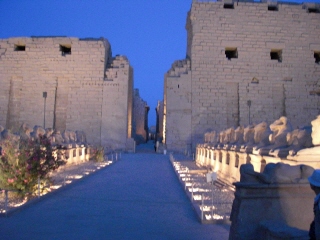 �������A�s����ɂ͒N�����Ȃ��B