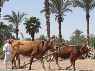 ����B����ȃh�b�g�������c