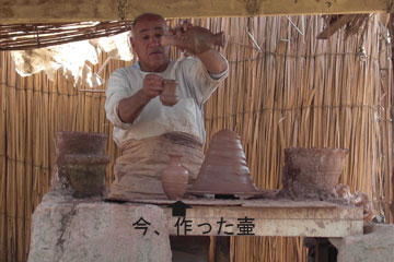 ���̓V���n�Q�̂�������́A�m���Ƀc�N�[���̃h�b�g�ɋ���