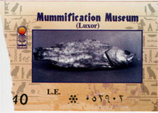 �u�~�C�������فv���Č����Ă邯�ǁA���m�ɂ̓~�C�����̔����ف@�Ȃ񂾂�ˁB