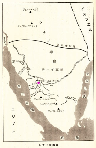 �V�i�C��Ղl�`�o