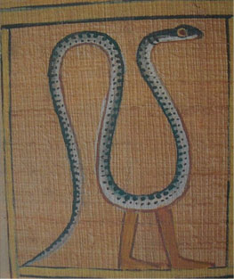 �Ă��Ă��B