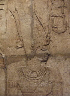 ���Ă���