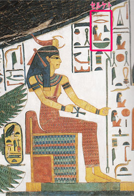 ���ɂ̂��Ă���̂ɒ���